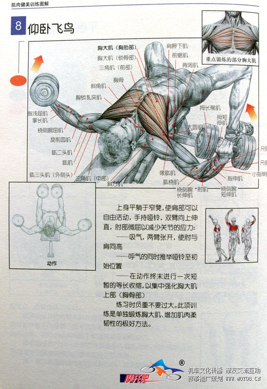 至关重要的上肢力量训练