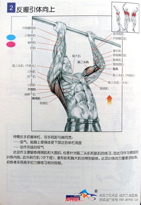 至关重要的上肢力量训练