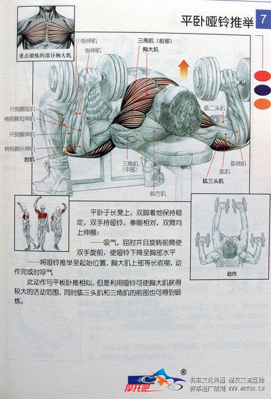 至关重要的上肢力量训练