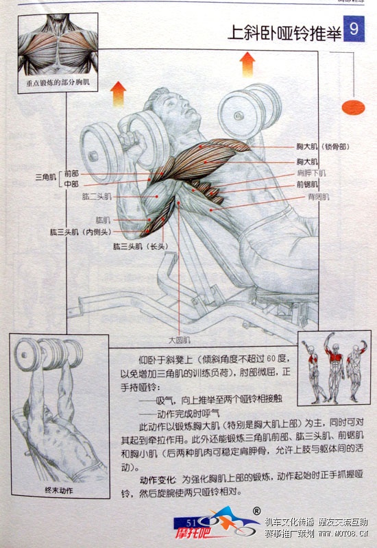 至关重要的上肢力量训练