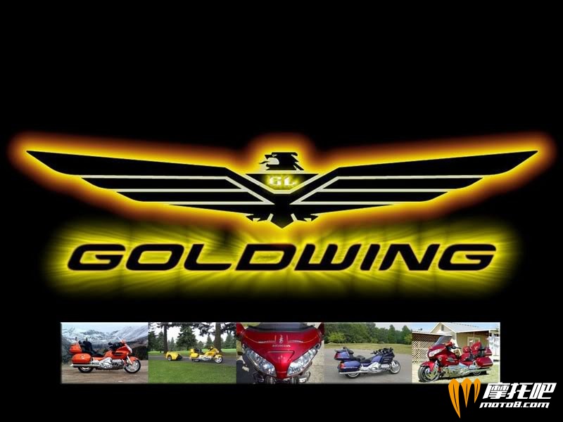 GoldwingBackground.jpg