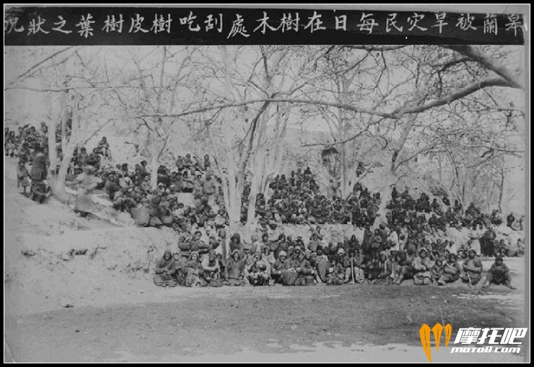 民国18年皋兰县灾民每日在树木处刮吃树皮树叶为生.jpg