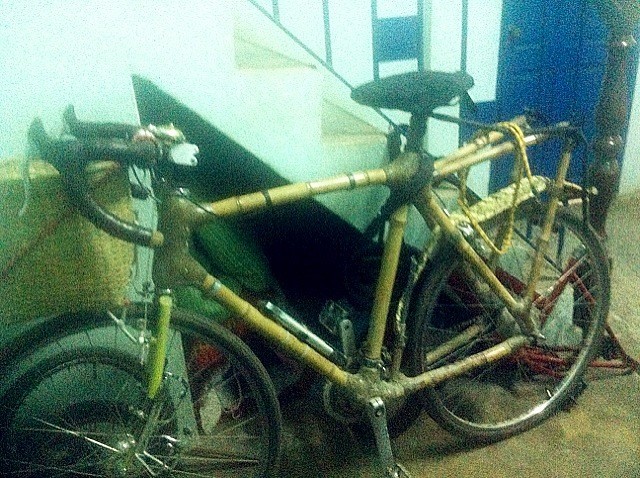 老外竹子自制单车