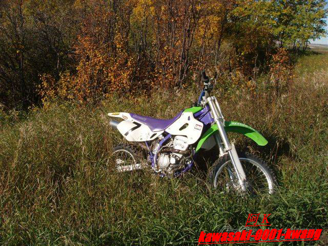 1996 Kawasaki KLX 250100.jpg