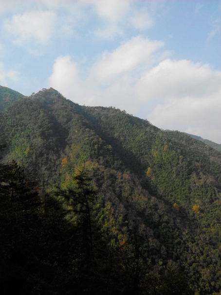 穿过藏龙百瀑的大溪村，开始盘山山路，路况很好，景色也很美，车很少，可以随意压弯，但是要注意安全