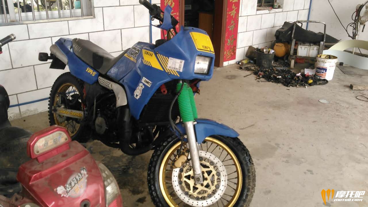 tdr250