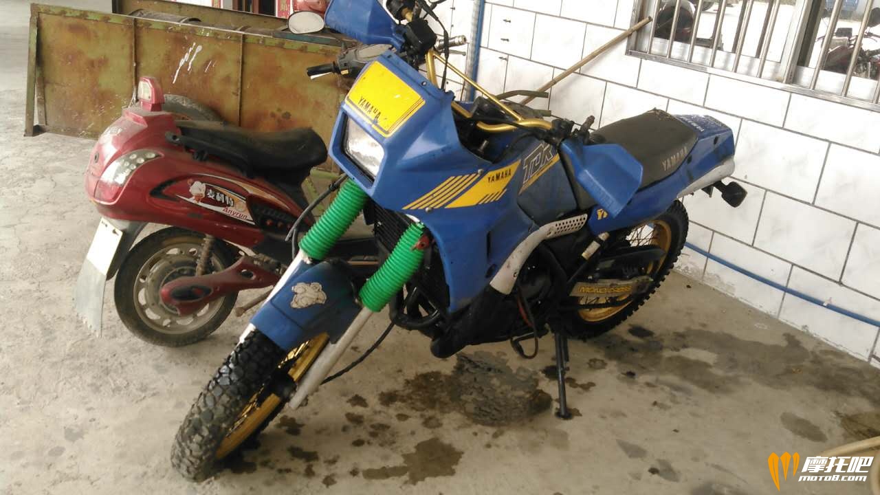 tdr250