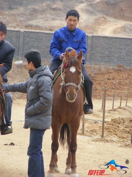 飙风与他的马····子