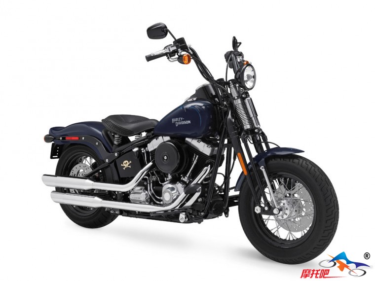 FLSTSB_Softail_Cross_Bones_2009_03_1024x768.jpg