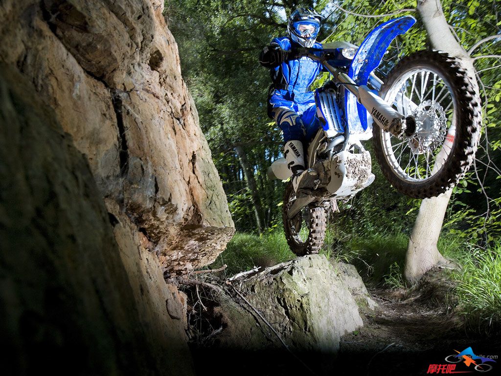 Yamaha_WR450_2008_08_1024x768.jpg