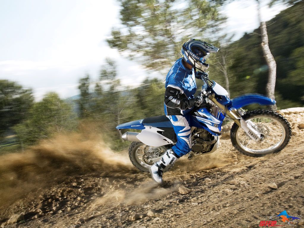 Yamaha_WR250F_2008_07_1024x768.jpg