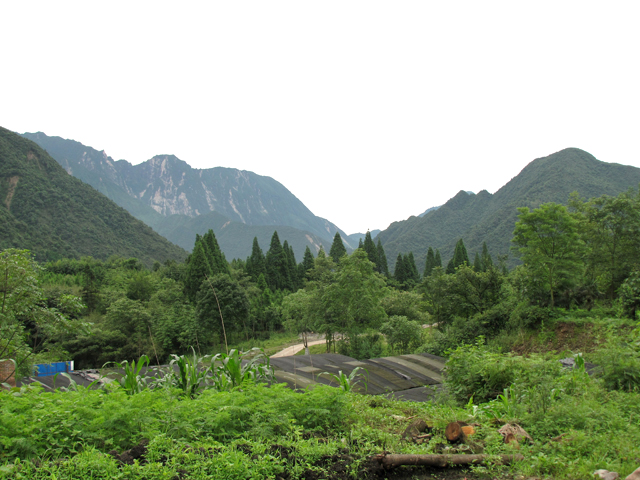 崇州鸡冠山搂儿坝 (2).JPG