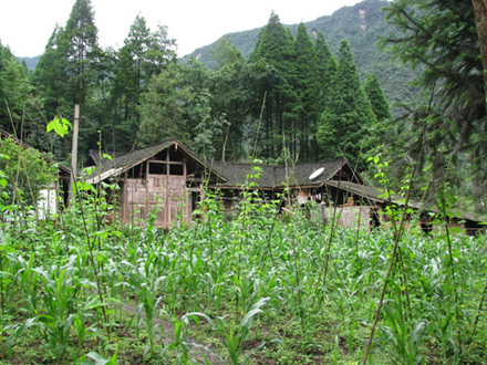 崇州鸡冠山搂儿坝 (8).JPG