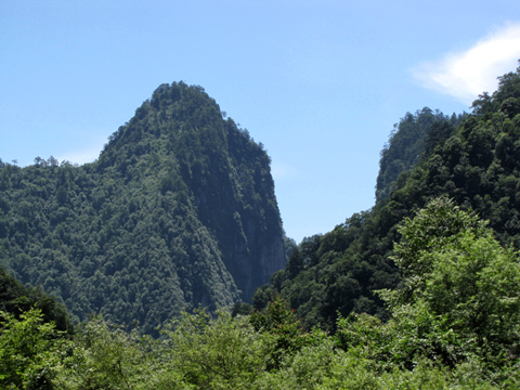 宝兴东拉山大峡谷 (5).JPG