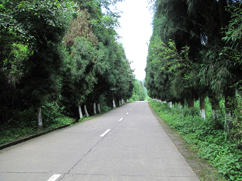 川西旅游环线道路 (1).JPG