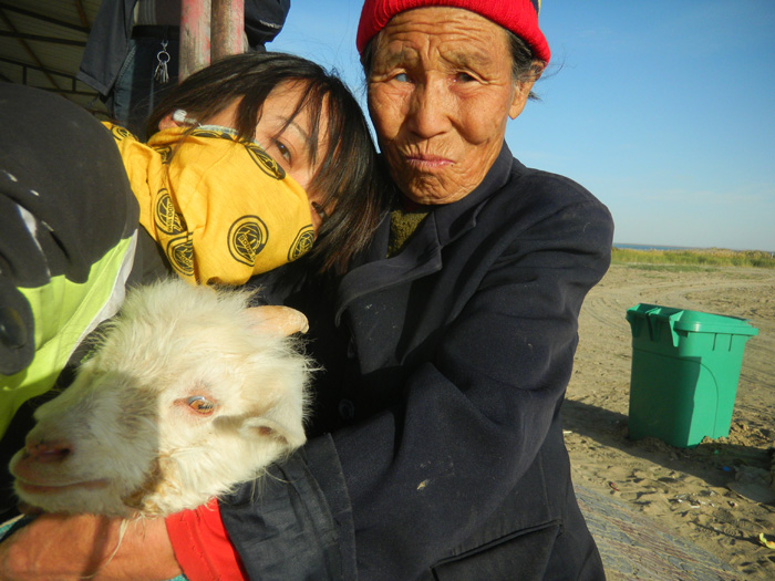 奶奶和有个蒙古名字的小羊羊～