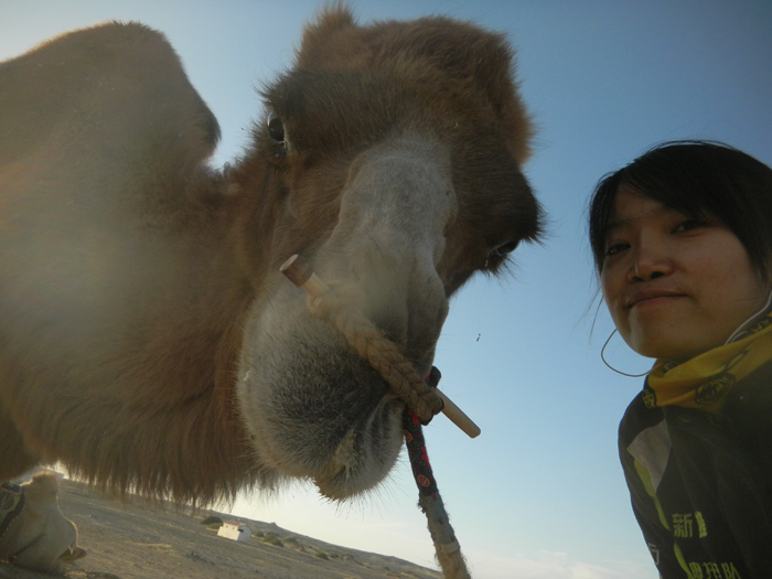 我和骆驼的大头照～